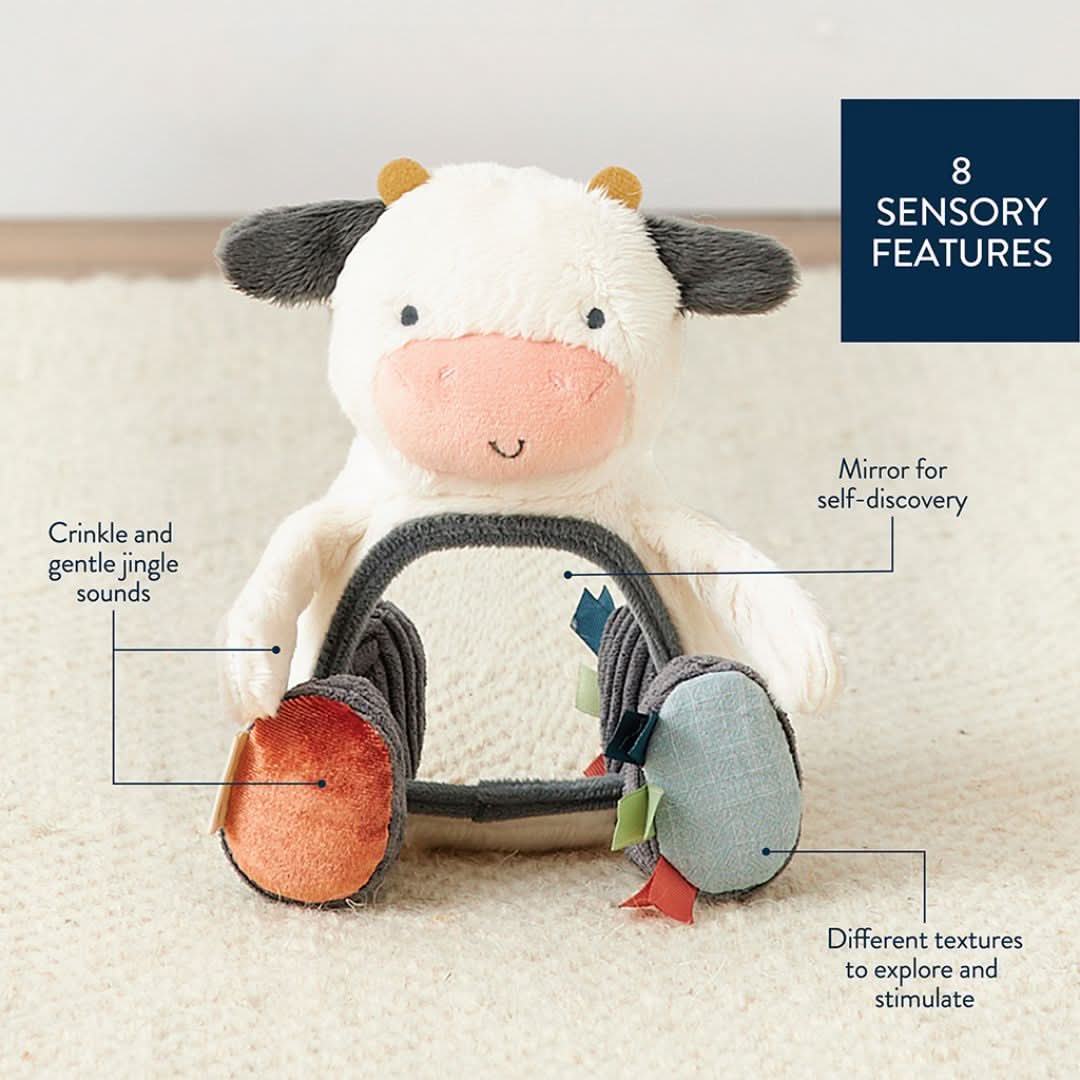 Itzy Bitzy Mirror™ Sensory Tummy Time Mirror - Image 16